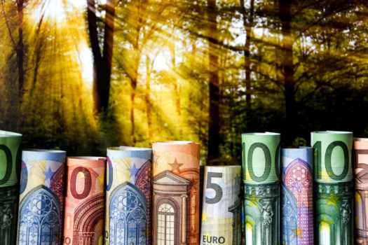 Euro bills in front of a forrest